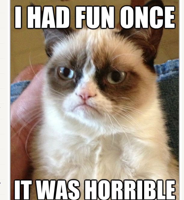 Grumpy Cat